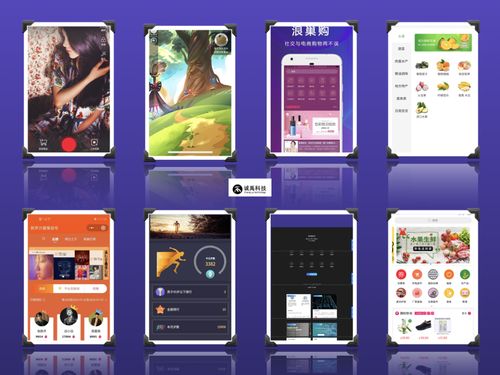 廈門(mén)小程序開(kāi)發(fā) 泉州app開(kāi)發(fā) 微信開(kāi)發(fā) 軟件開(kāi)發(fā) 軟件外包