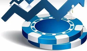 軟件開發(fā)公司有哪些能提供專業(yè)程度高的外包服務(wù)